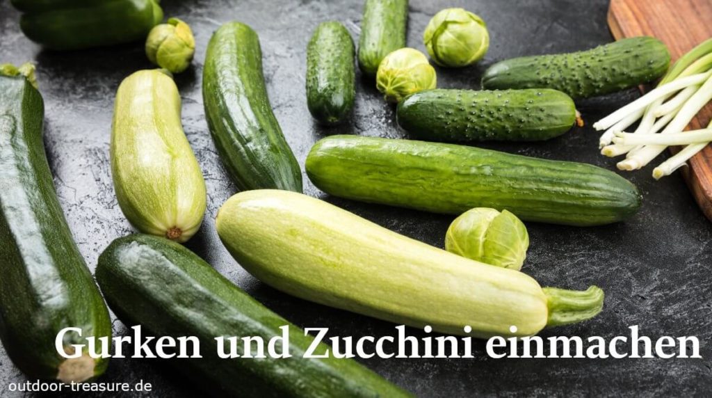 Gurken und Zucchini einmachen | OUTDOOR TREASURE