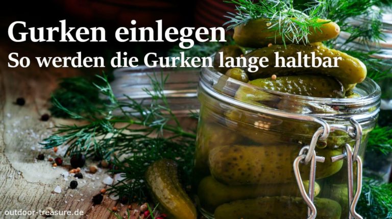 Gurken einlegen so werden die Gurken lange haltbar